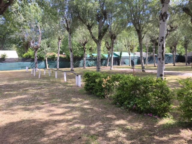 Camping Nuovo Massa  Dış mekan fotoğraf