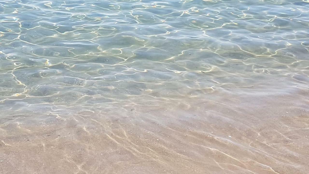 Camping Nuovo Massa  Dış mekan fotoğraf